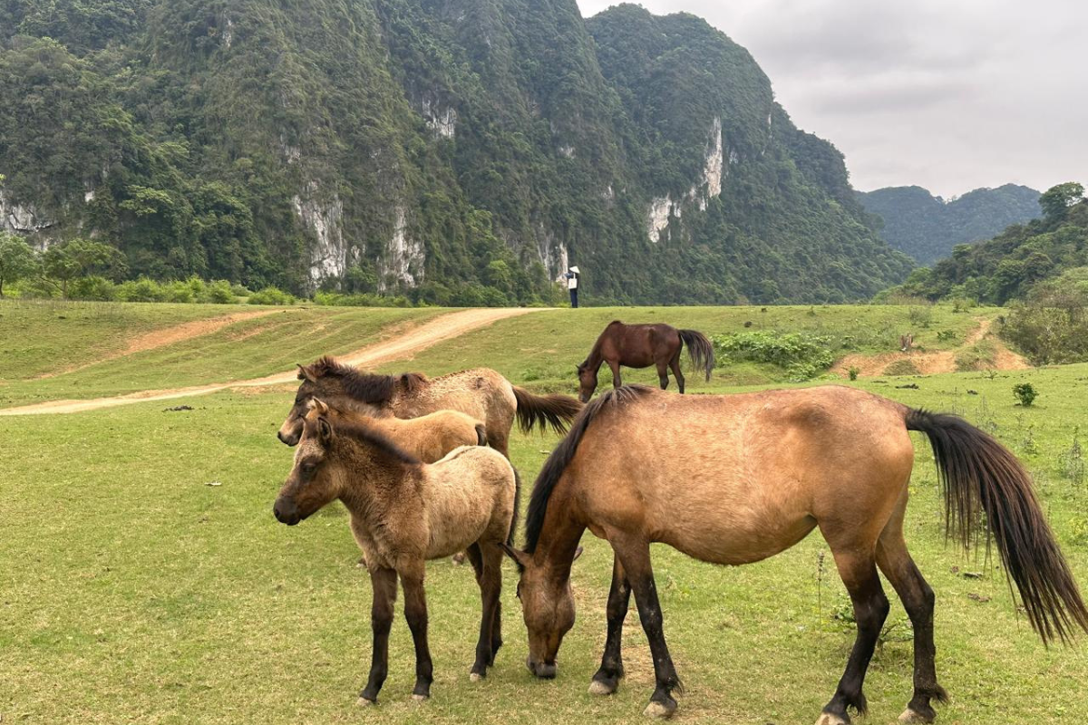 Huu Lien - Bac Son