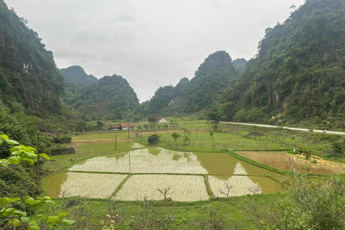 Bac Son Valley