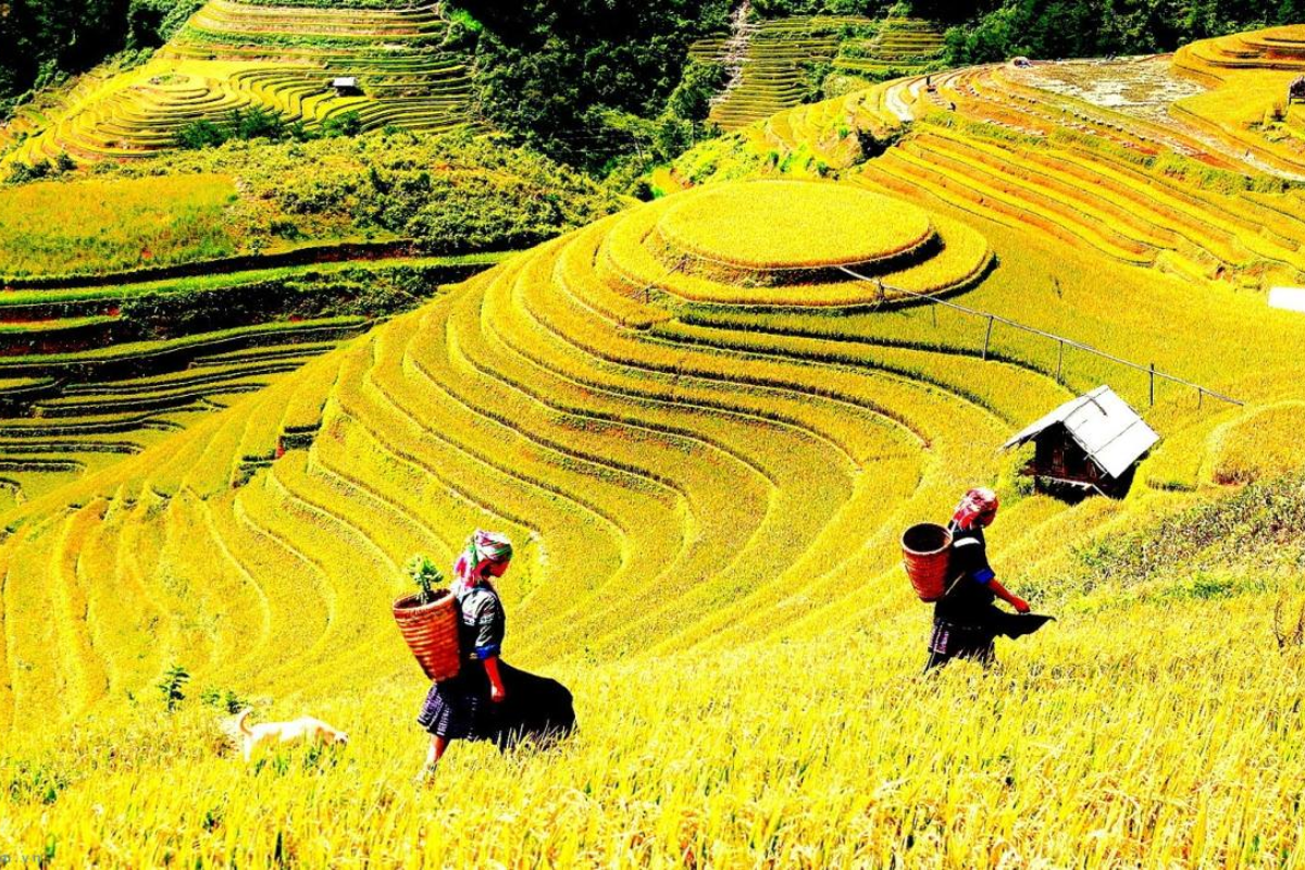 Northern Vietnam in July