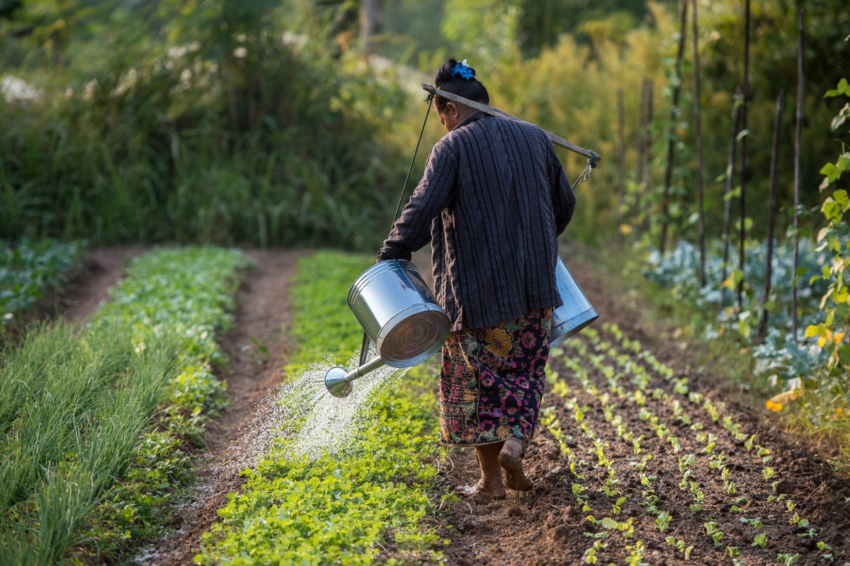 Laos Local People doing their work - World Mate Travel