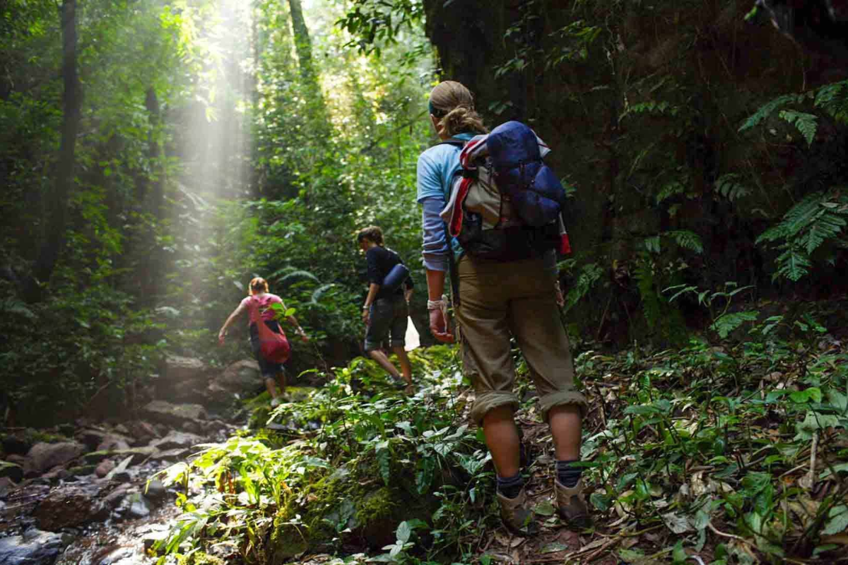 Tourist trekking in Nam Ha National Protected Area - World Mate Travel