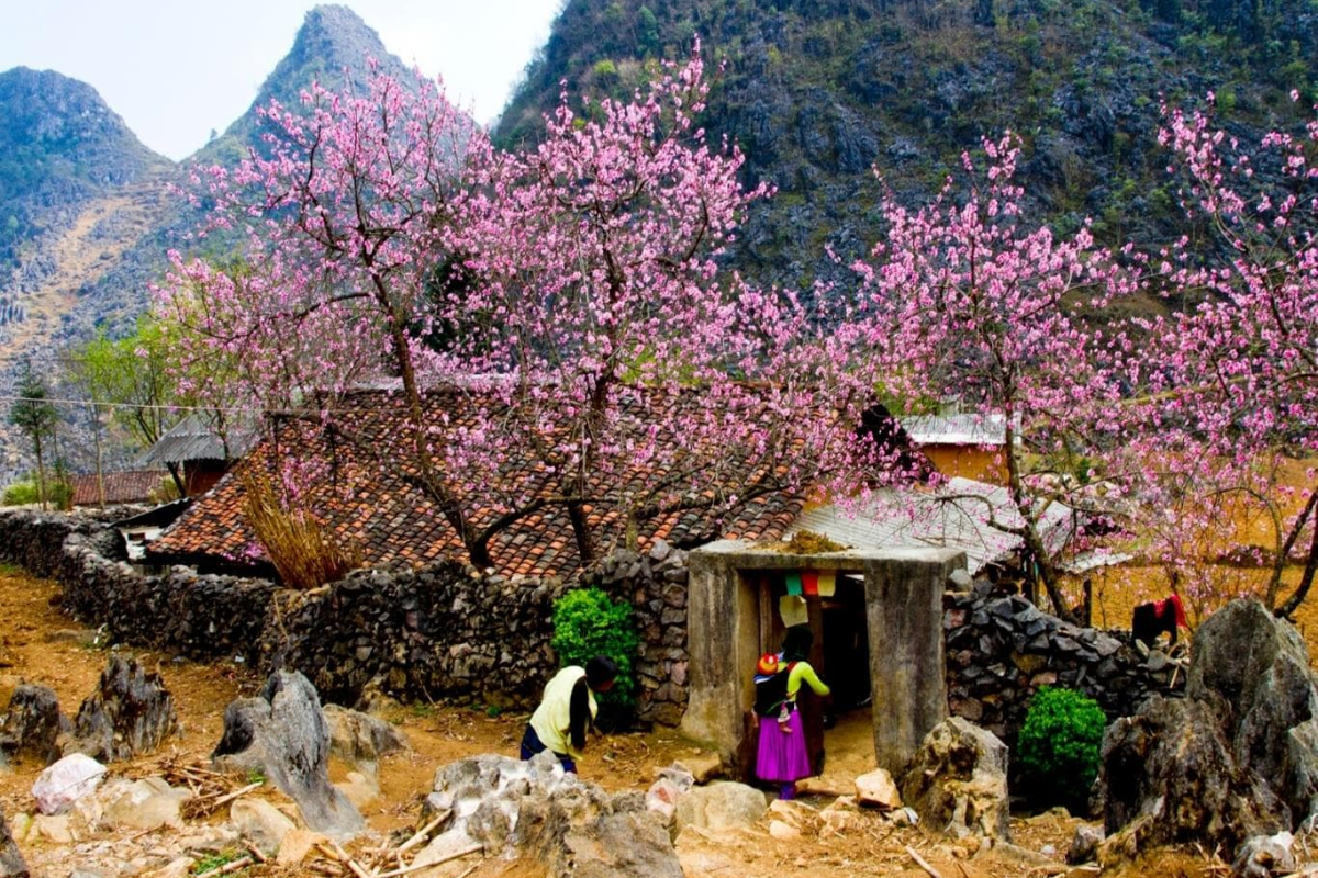 Sapa in April