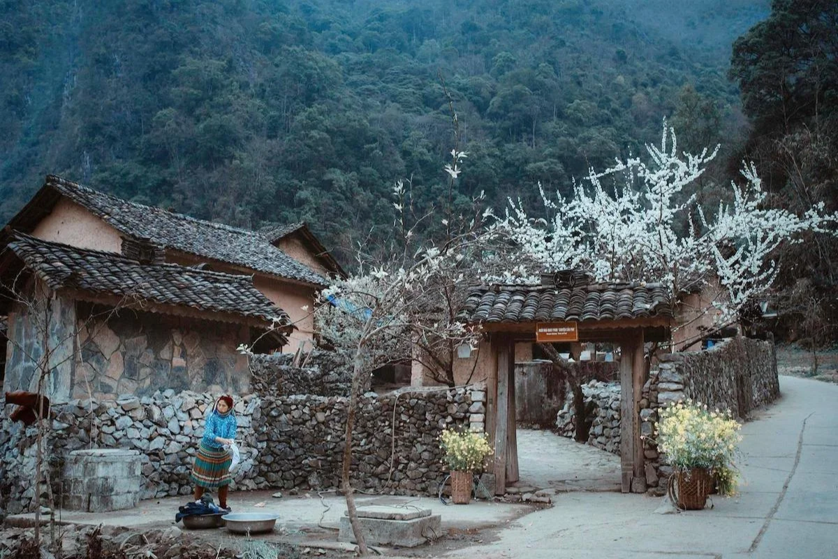 Ancient Chinese-style houses in Dong Van Ancient Town