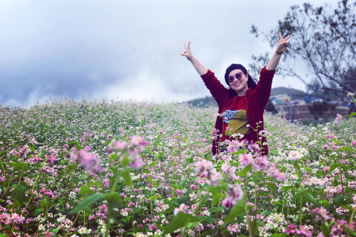Buckwheat flowers blooming in Sapa