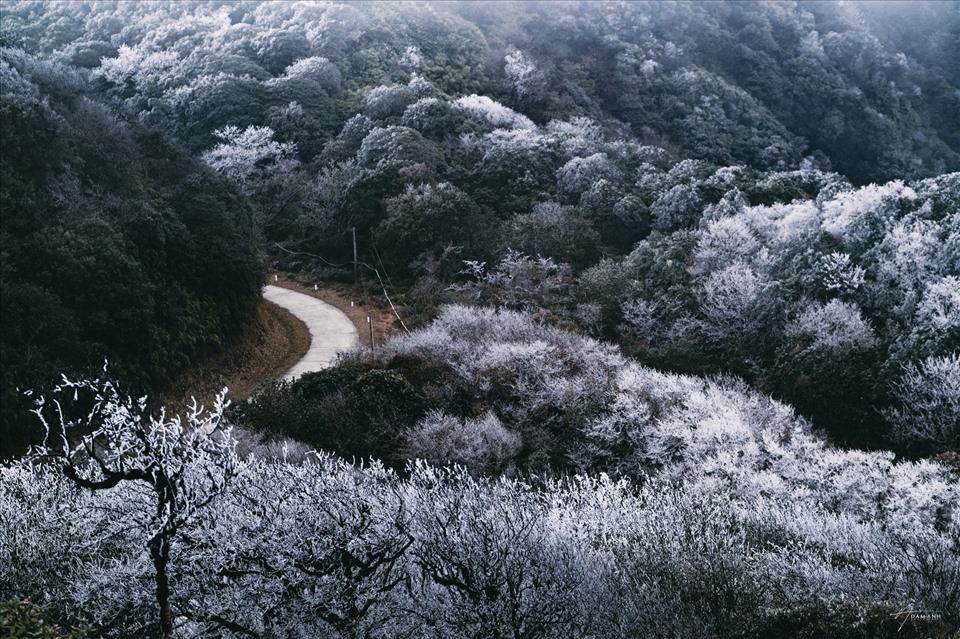 Cao Bang Weather Highlights November and December: A Floral Wonderland 