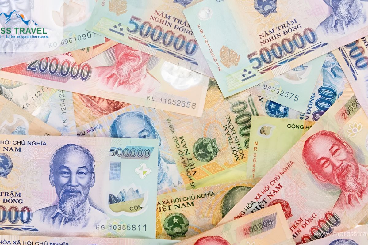 Currency Exchange for Vietnam travel 