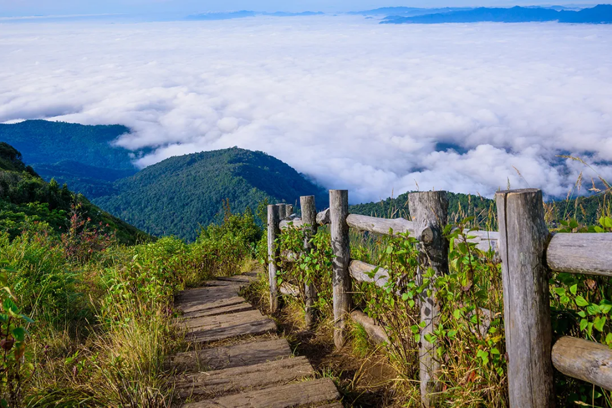 Guide To Doi Inthanon National Park - Elephant Freedom Project Chiang Mai  Thailand, image size:1200x800