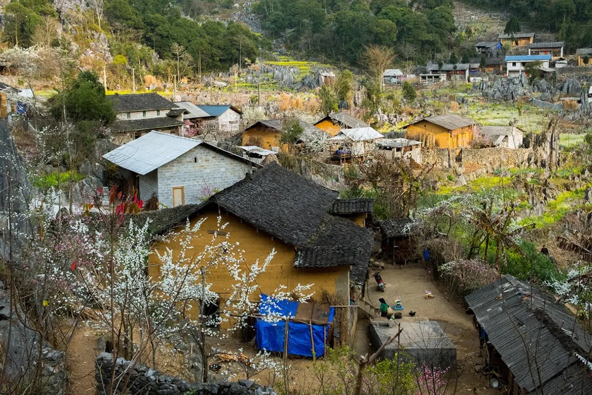 Rustic tiled roofs and lively market scenes in Dong Van Old Quarter