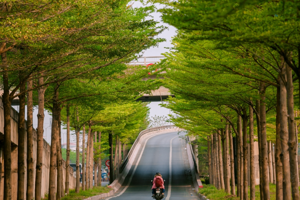 Blooming trees and clear skies in Hanoi during April