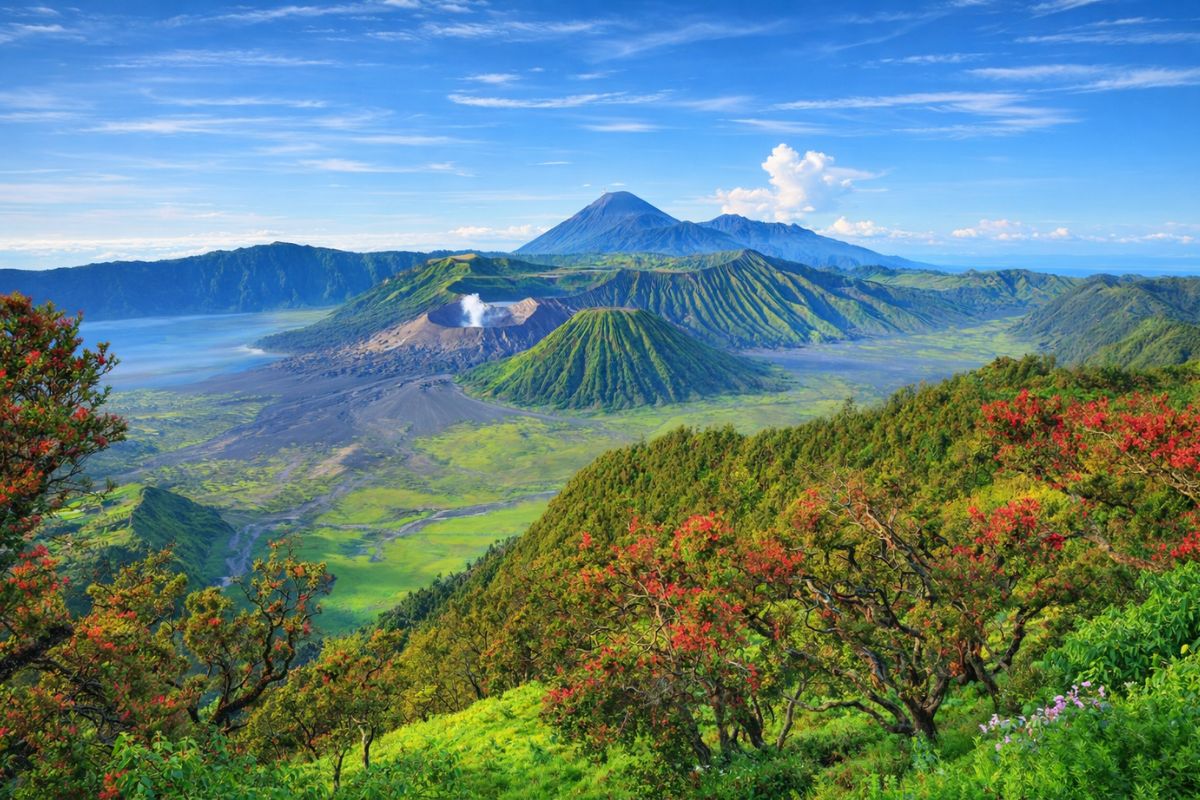 Morning mist over Mount Bromo - Java Island Indonesia 