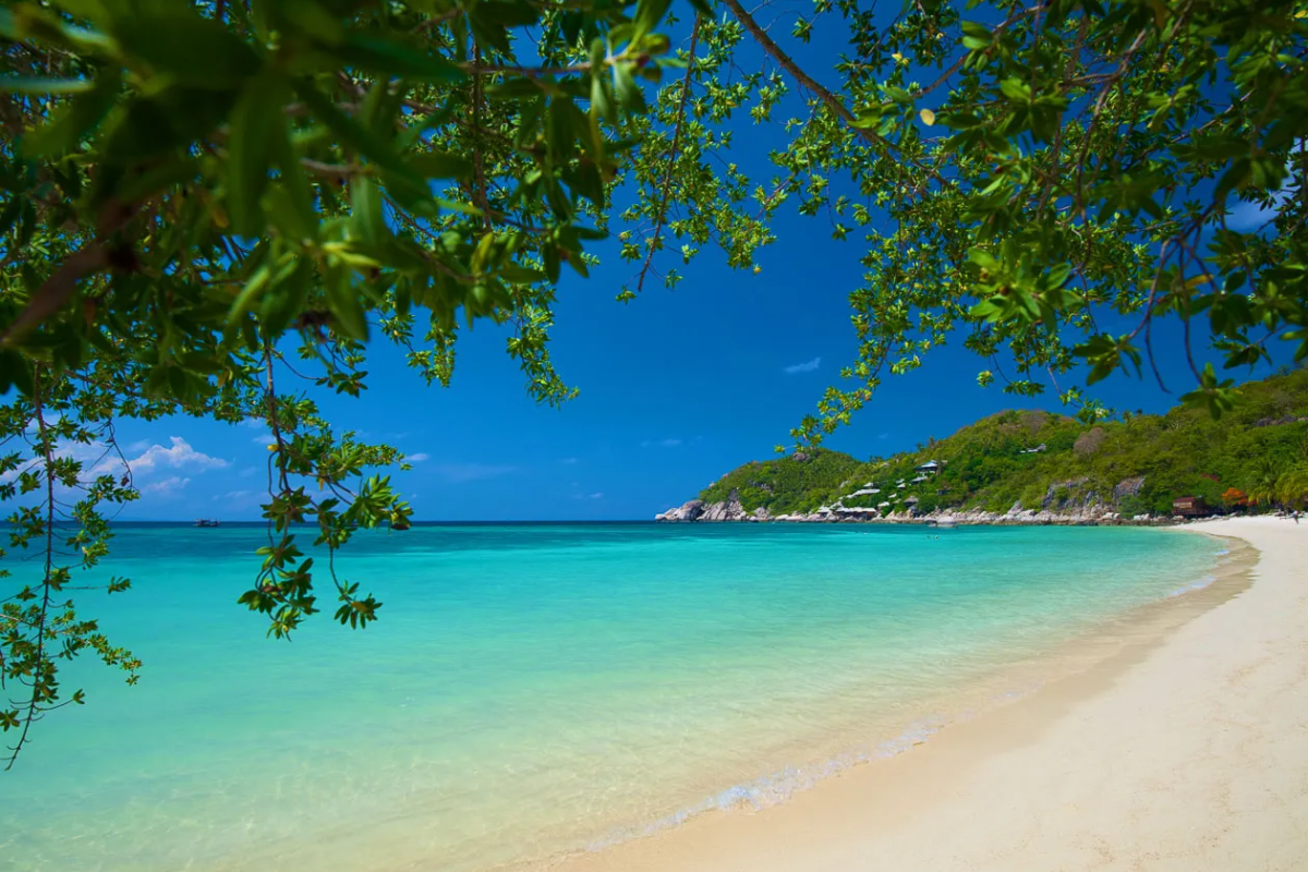 Koh Tao