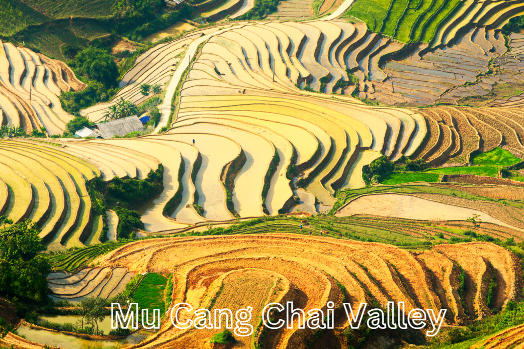 Photography in rice paddies Mu Cang Chai Valley