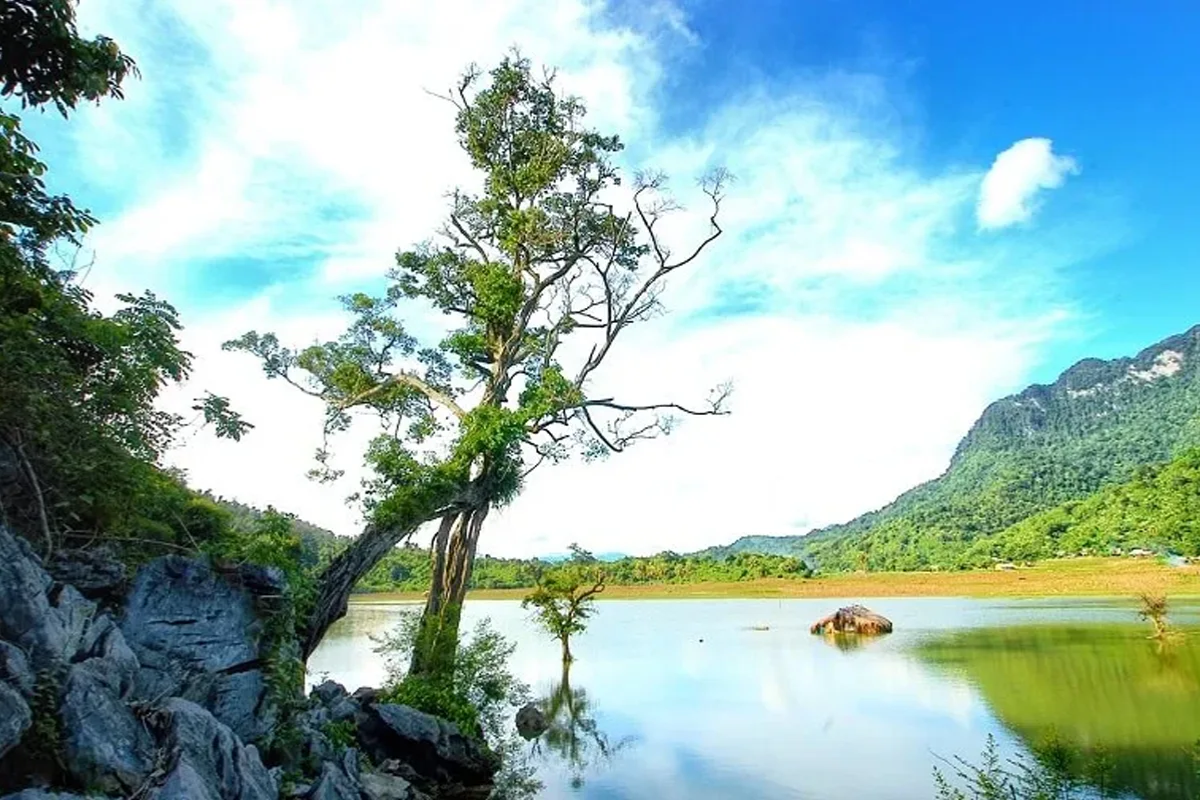 Serene waters and green floating forest of Noong Lake during summer
