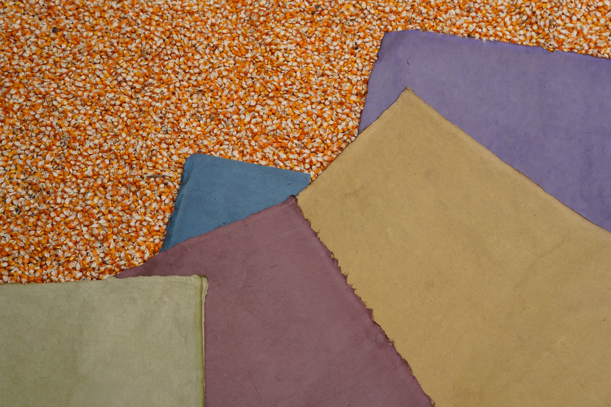 Handmade paper at village Nung An, Cao Bang 