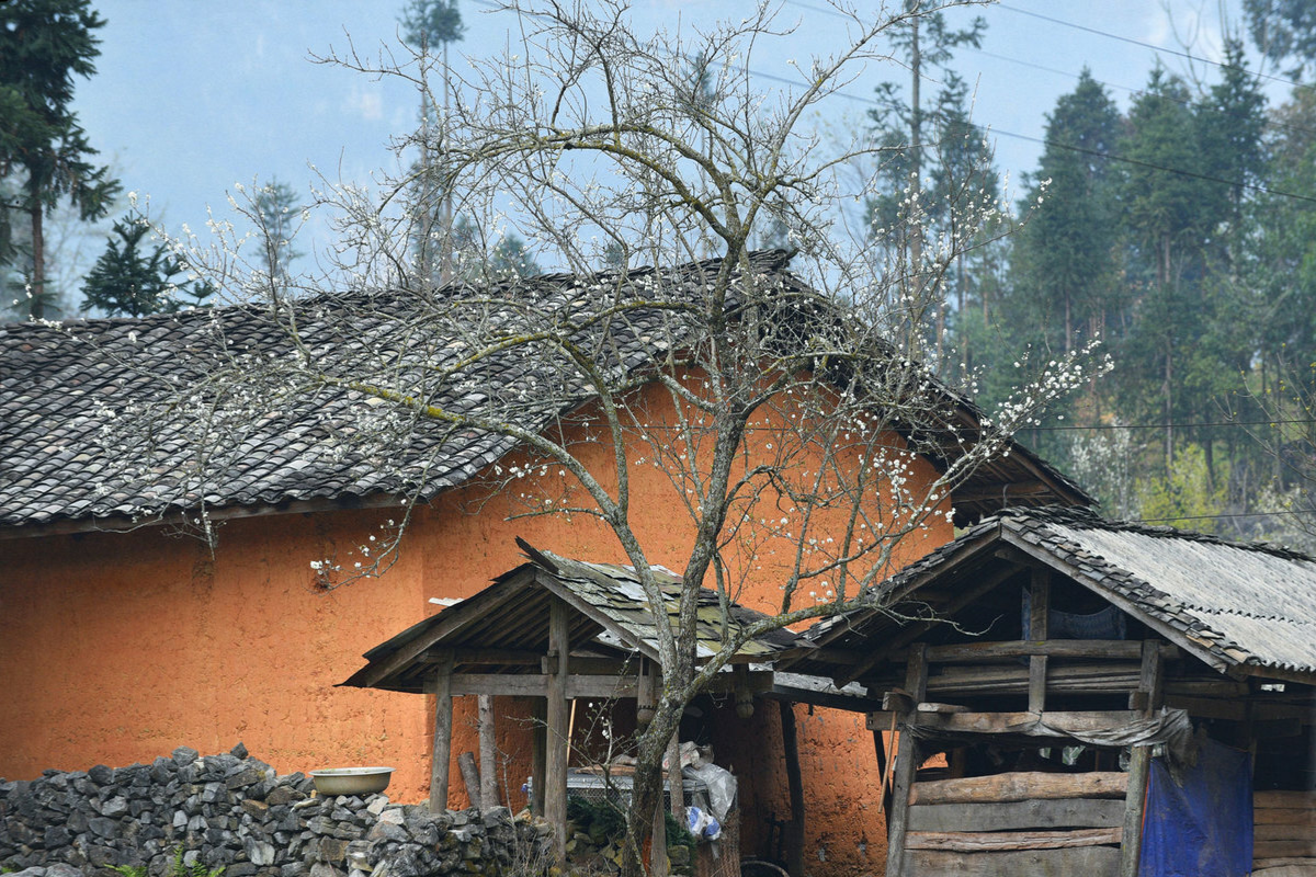 Tranquil houses in the mountain town of Pho Bang