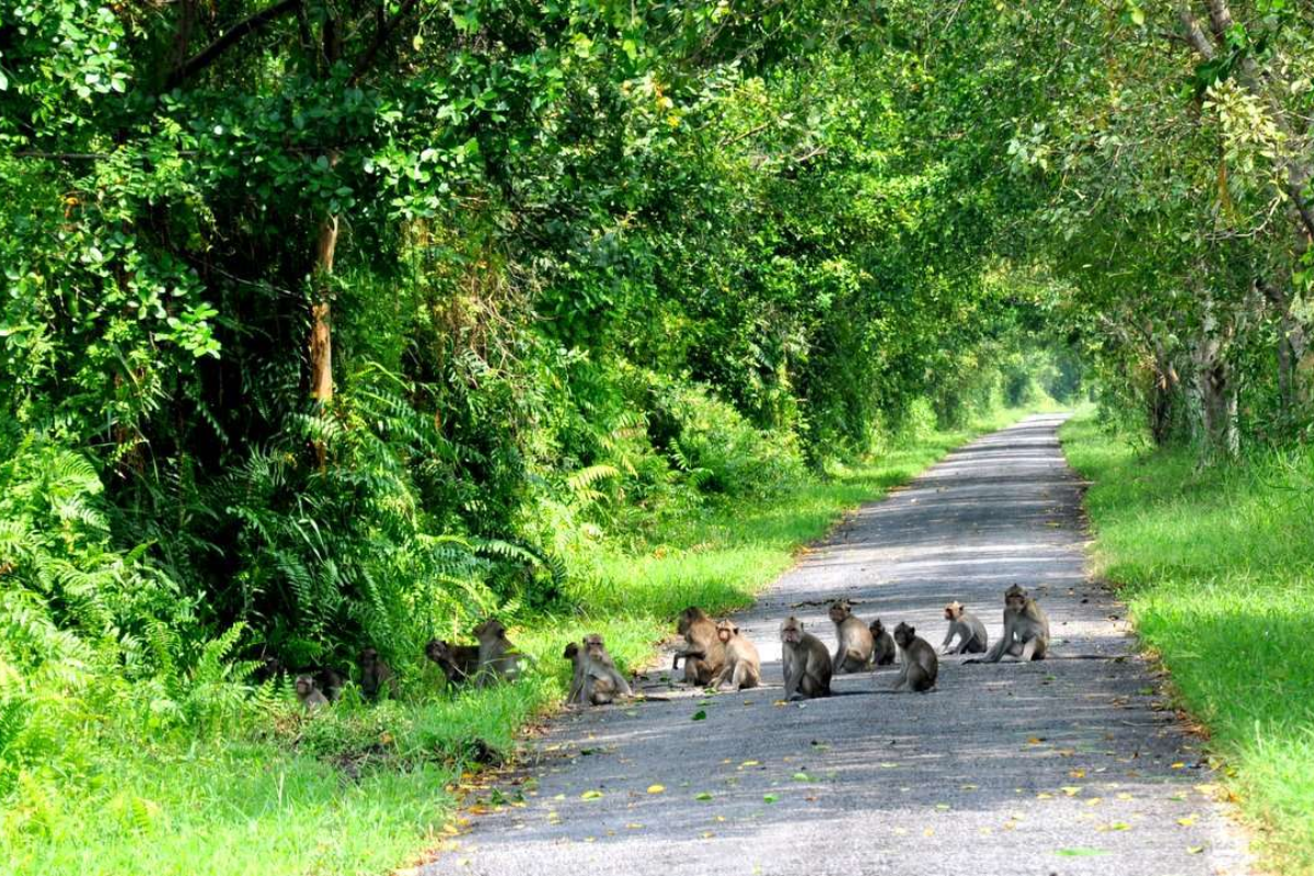 Phu Quoc National Park