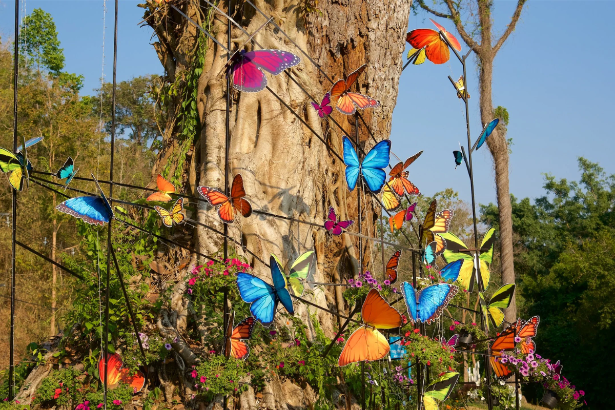 Lush greenery and diverse plant species at Queen Sirikit Botanical Garden