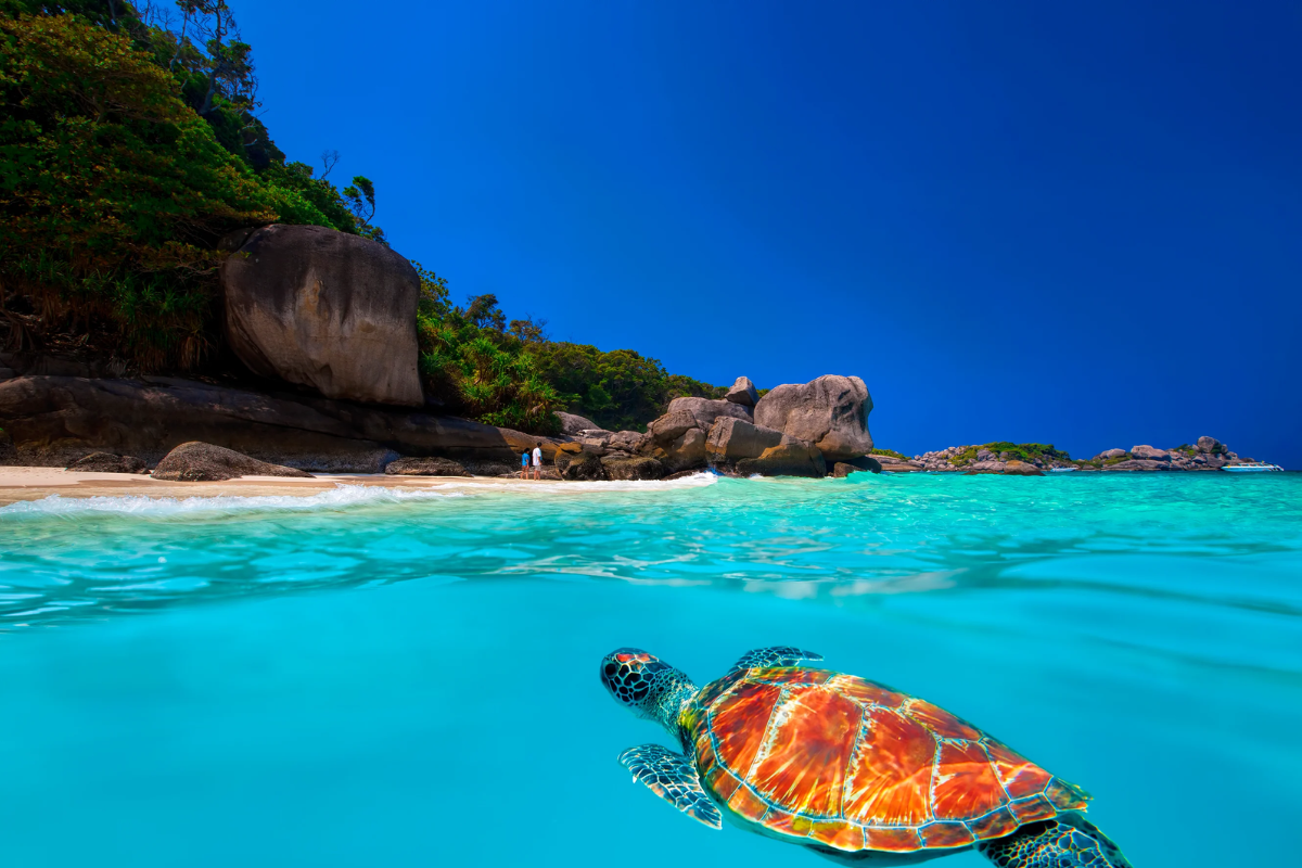 Turquoise waters and coral reefs at Similan Islands