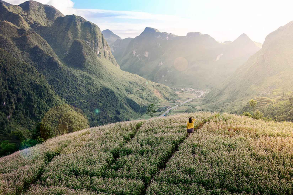 Sung La Valley surrounded by lush green mountains and winding roads
