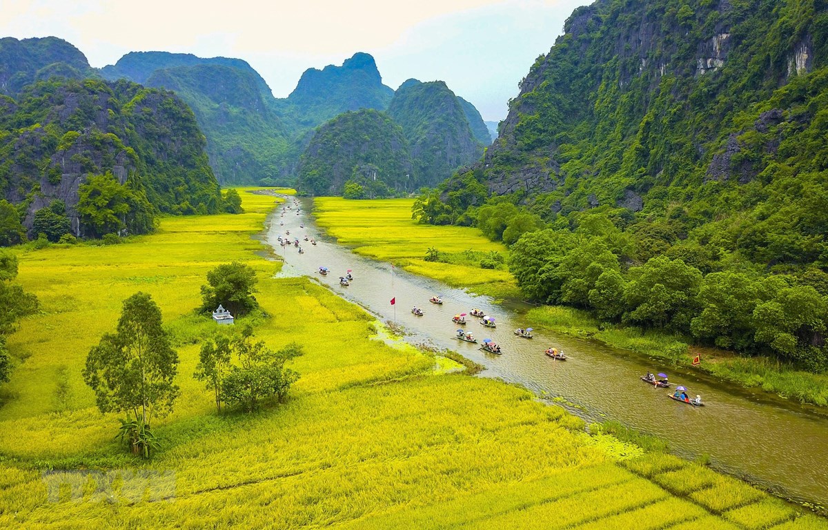 Eco tourism in Vietnam: Guide for a trip with sustainability in mind - Can Gio Vietnam eco tourism area