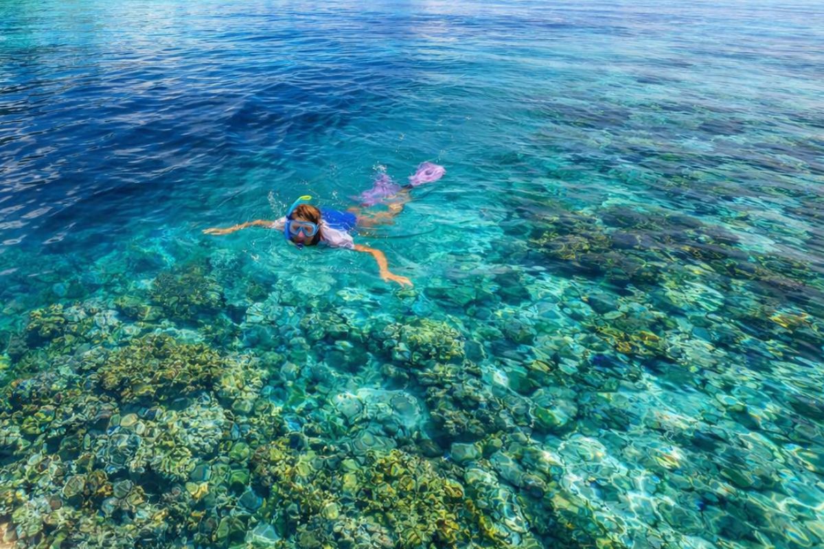 Snorkeling in Wangi-Wangi island waters