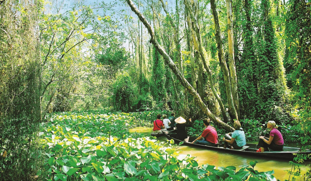 Eco tourism in Vietnam: Guide for a trip with sustainability in mind - Cat Tien National Park