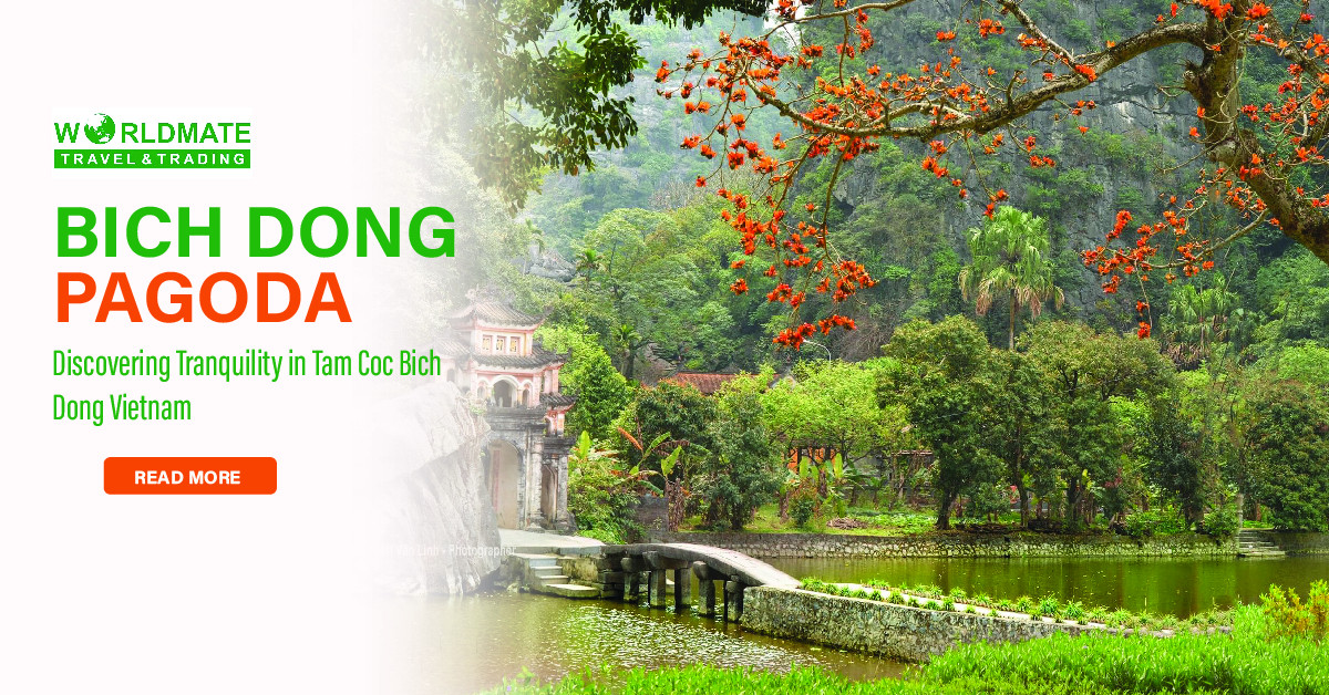 Tam Coc – Bich Dong: A Quick Guide