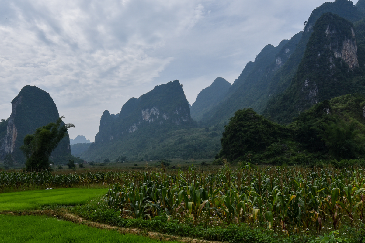 Ban Gioc Waterfall 3 Day Tour