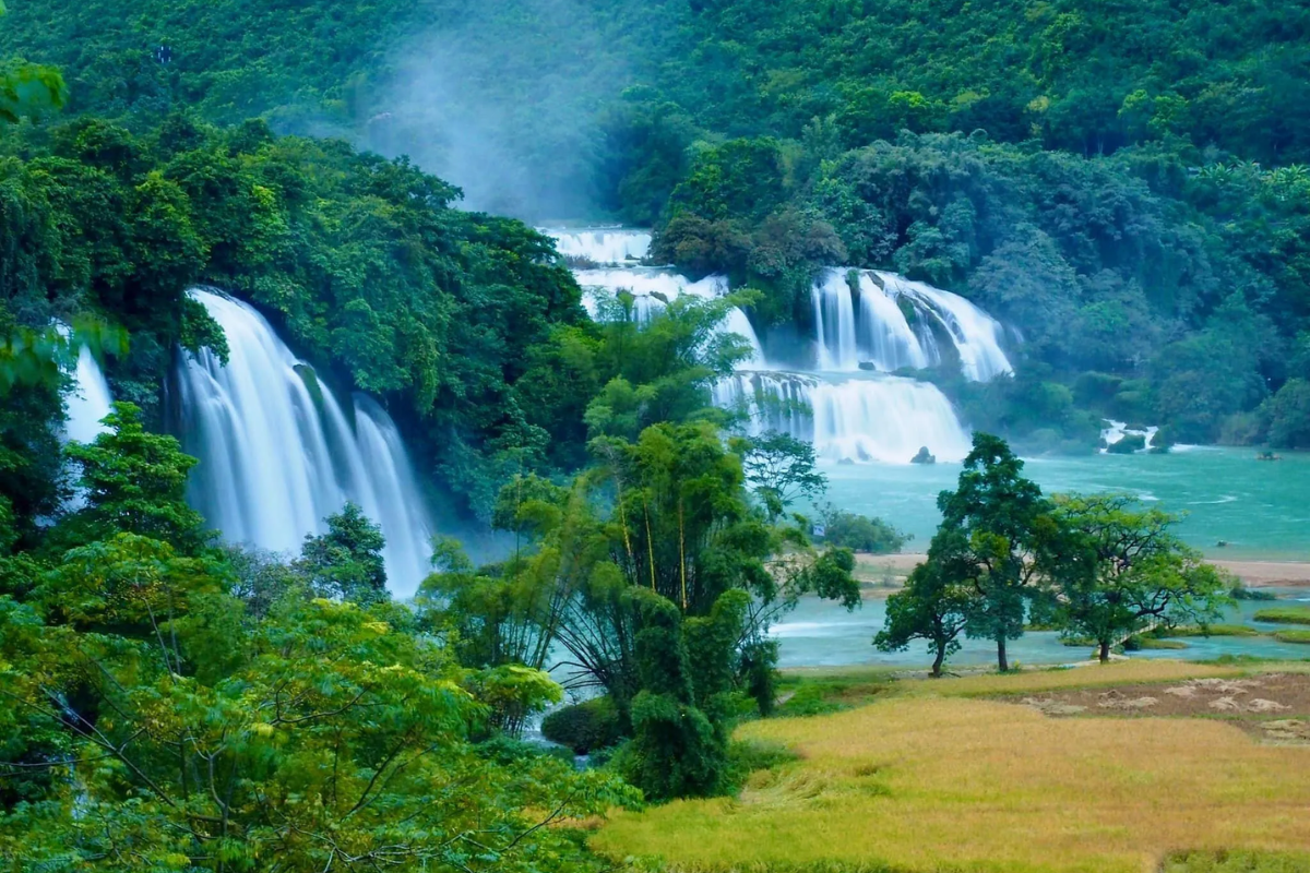 Panoramic view of Ban Gioc Waterfall in May with lush greenery and blue skies
