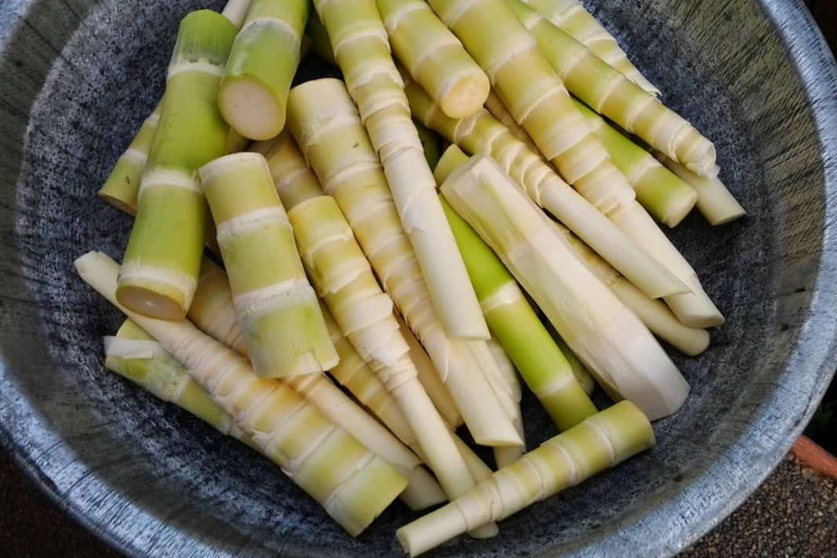 Young bamboo shoots dried and ready to cook in Mai Chau market