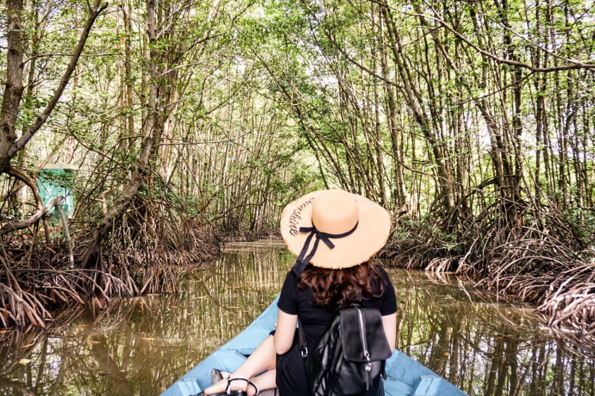 Mangrove forest landscape in Can Gio Biosphere Reserve