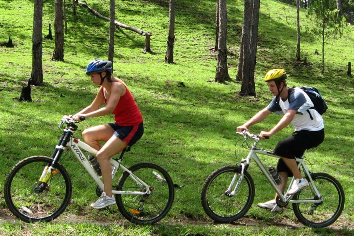 Cyclist riding through pine forest in Dalat, Vietnam