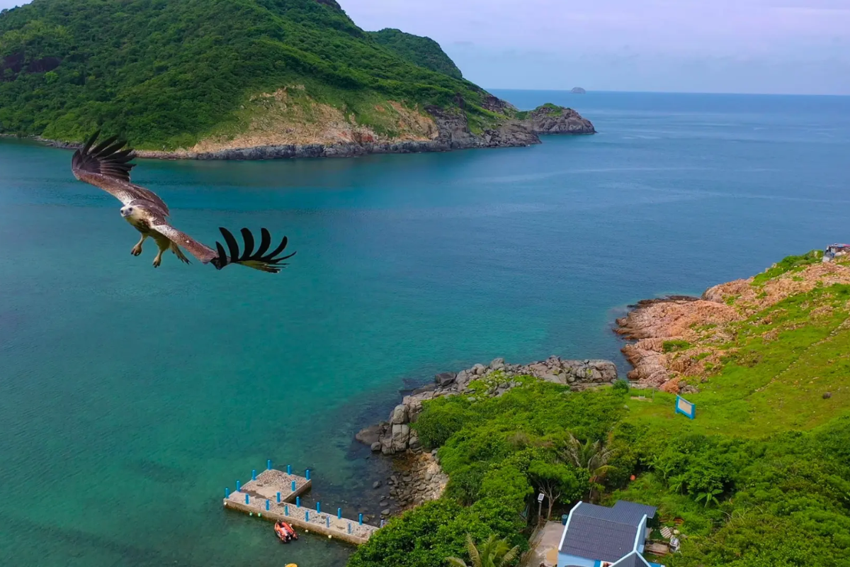 A panoramic view of Dam Tre Bay surrounded by lush green hills on Con Son Island