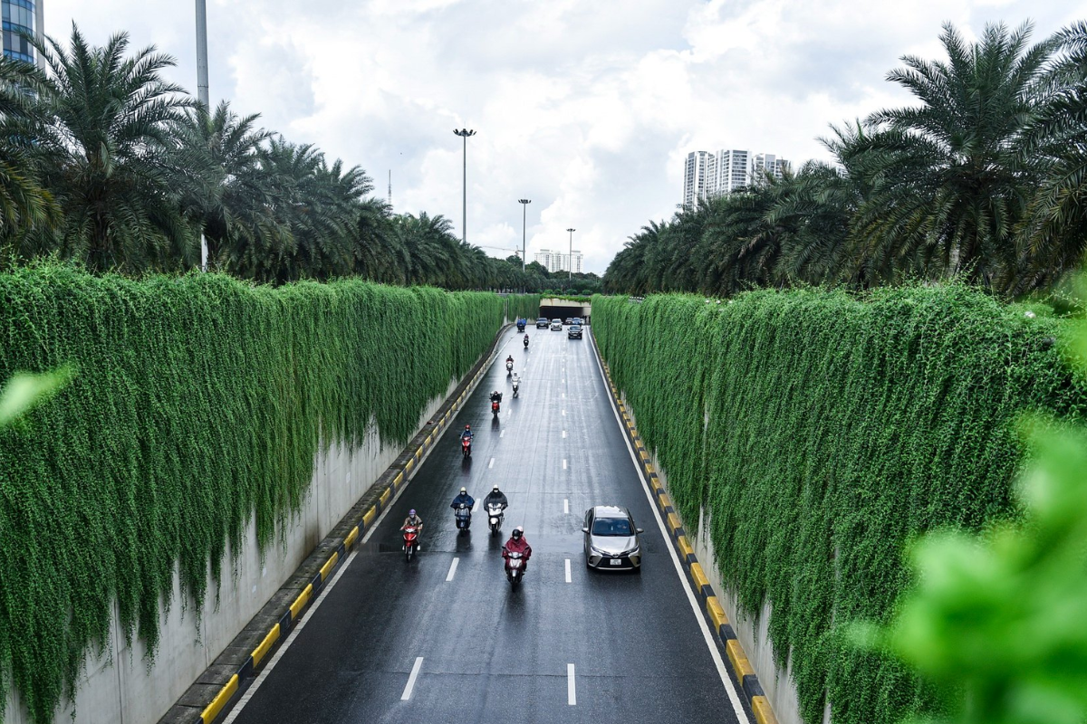 Lush greenery in Hanoi after a rainfall
