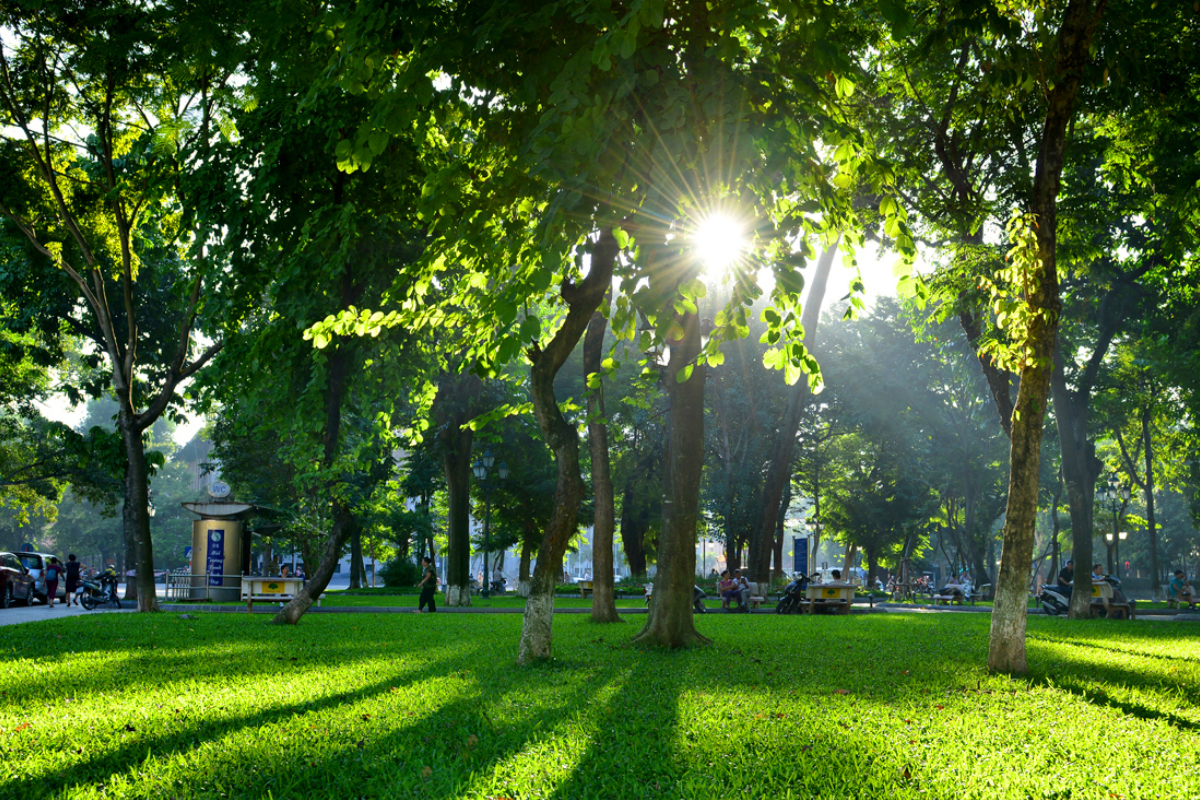 A peaceful park in Hanoi during October with trees changing color and people walking