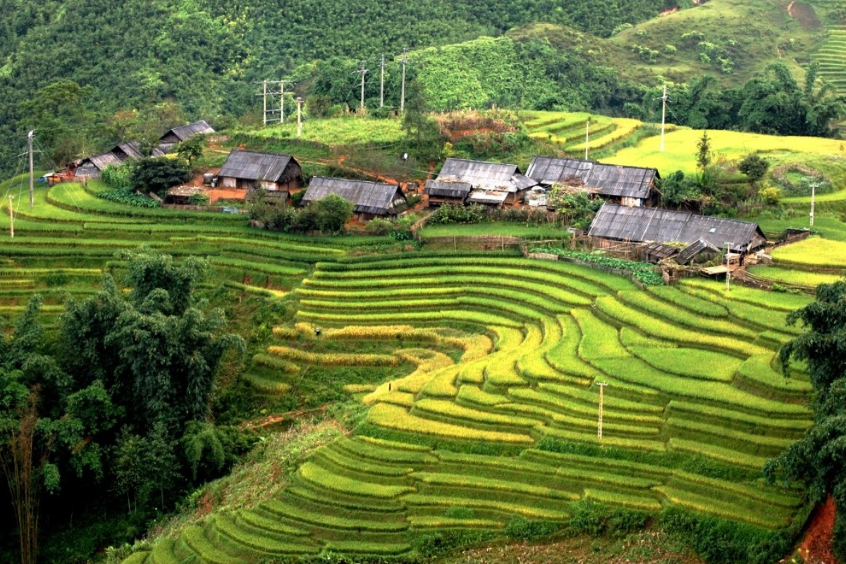View of Ban Ho village nestled in the mountains with rice terraces in the background