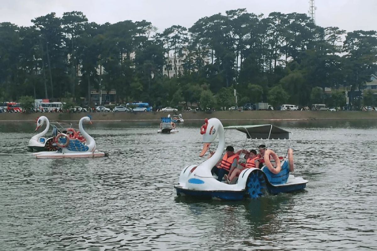 Swan paddle boats on Xuan Huong Lake