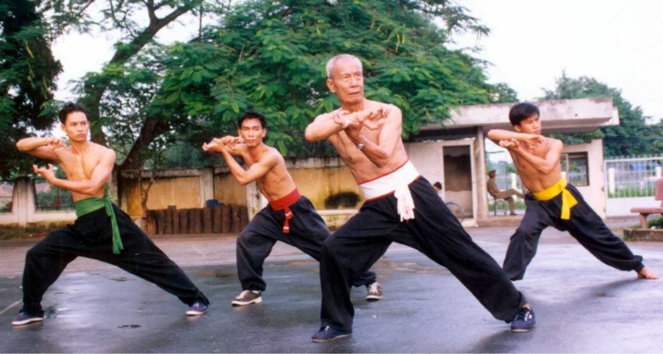 Martial Arts in Vietnam