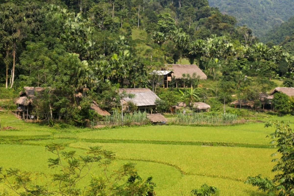 Wooden stilt houses in Lam Binh village