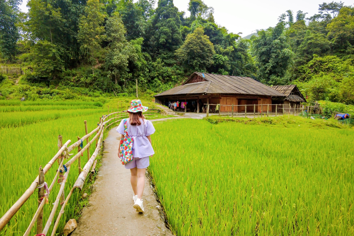 Wooden house in Lao Chai village with green rice fields in Ha Giang, Vietnam