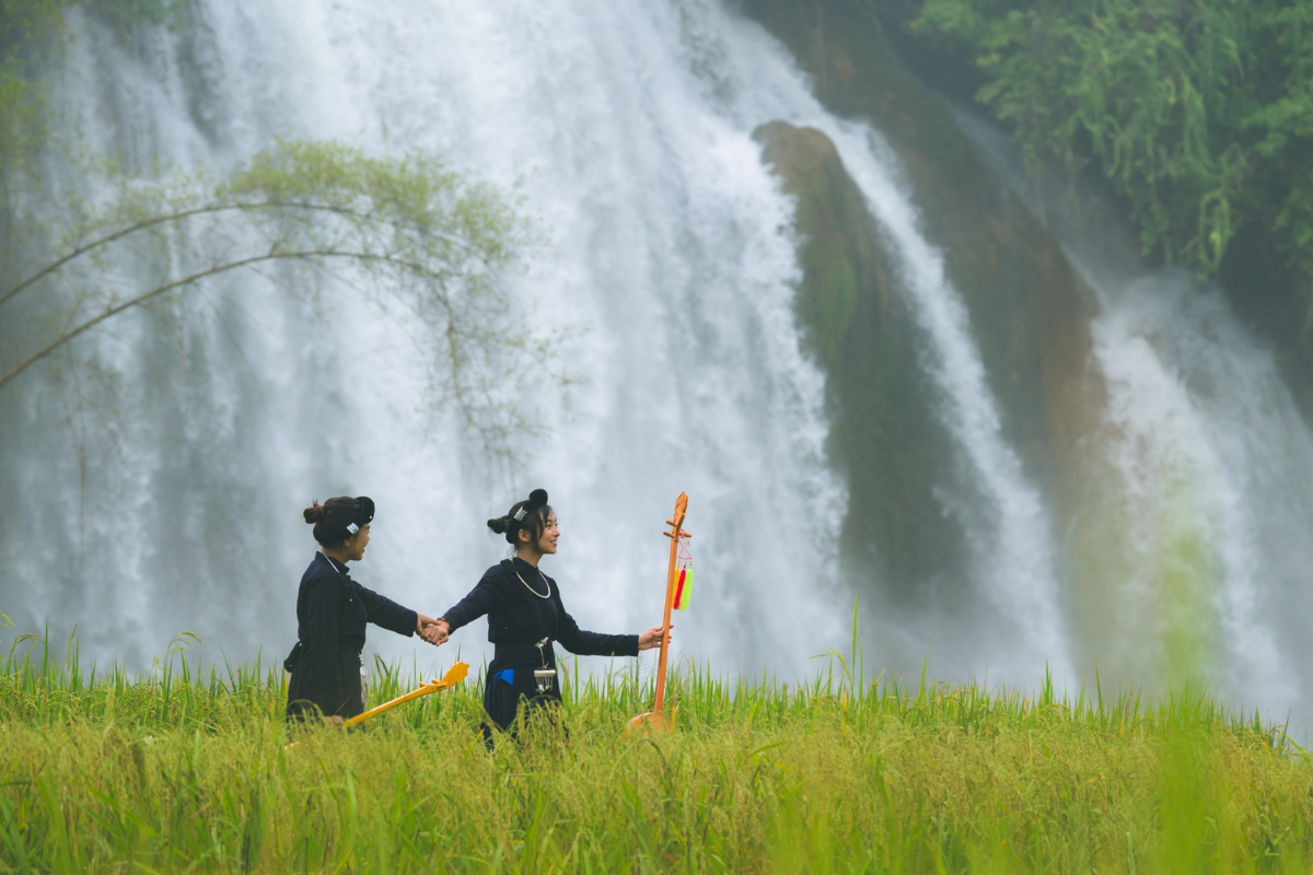 Local villagers near Ban Gioc Waterfall harvesting rice in October