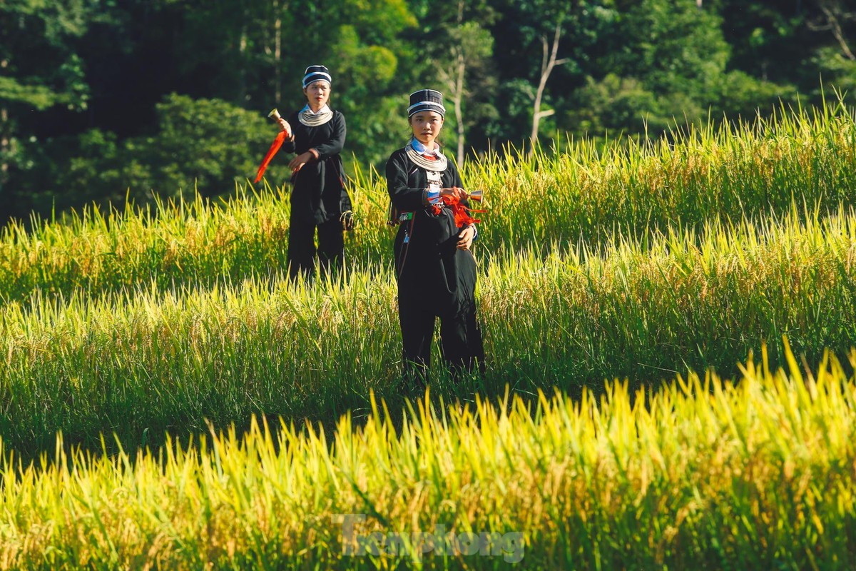 Locals working on rice terraces in Luoc Village during planting season