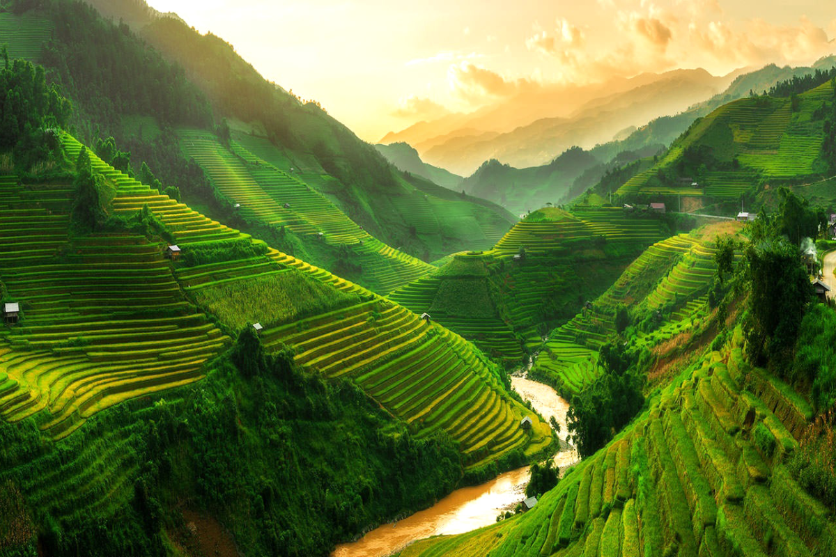 Panoramic view of Sapa’s lush green rice terraces cascading down mountain slopes