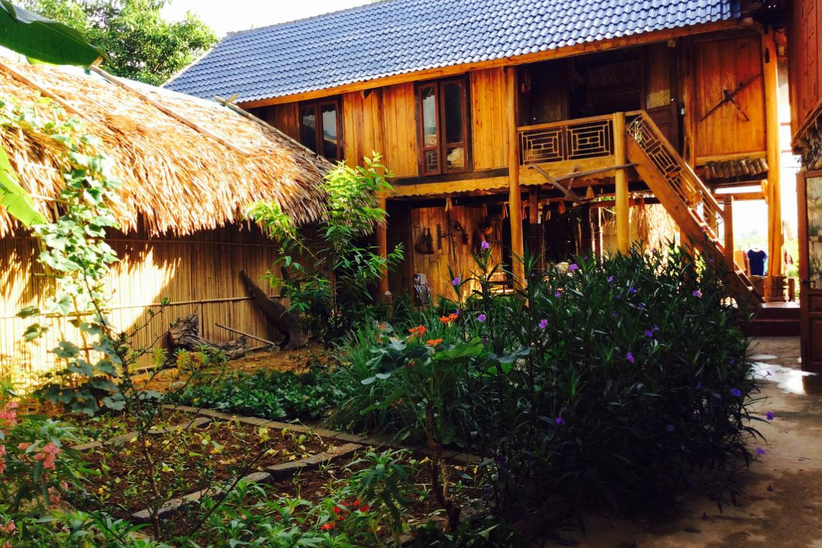 Traditional stilt house homestay in Mai Chau surrounded by greenery