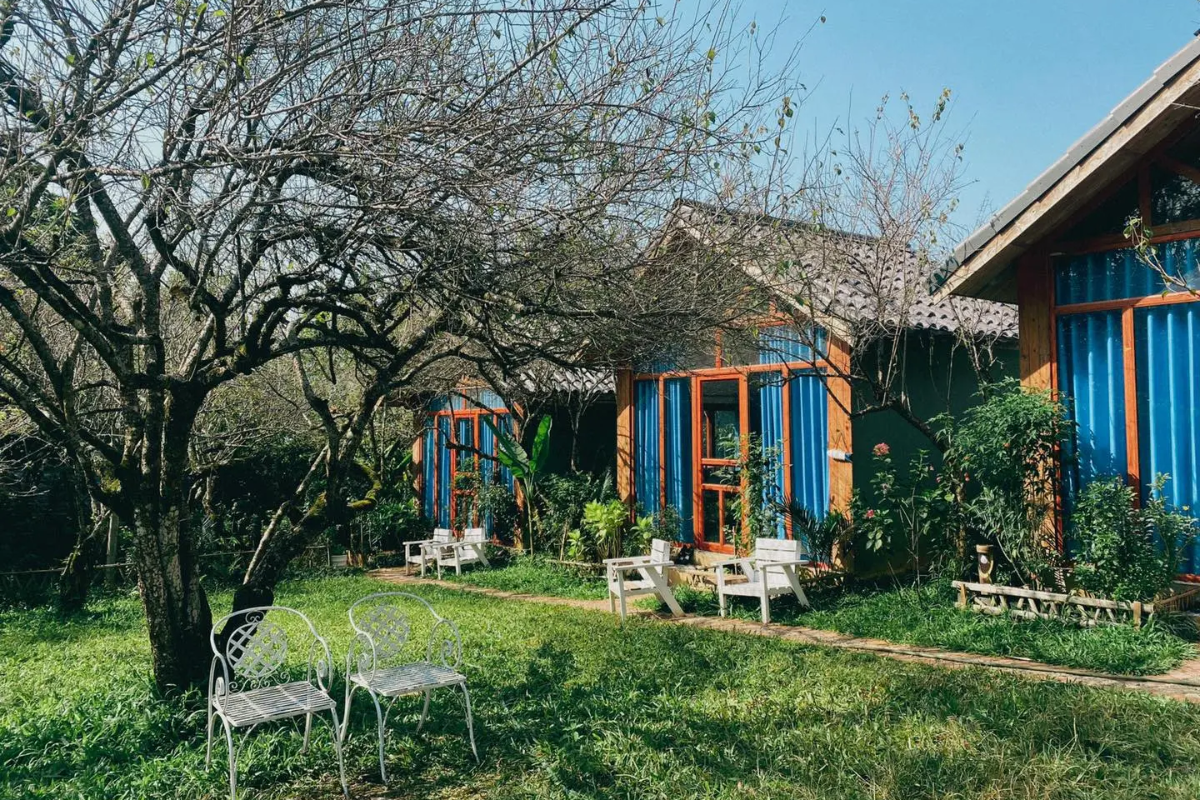 Cozy Moc Chau homestay surrounded by tea hills