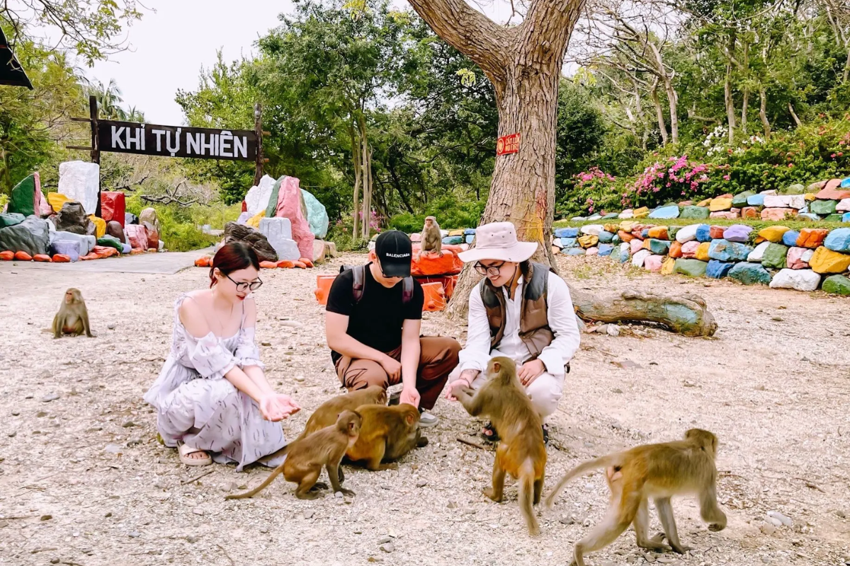 Monkeys and tourists on Monkey Island Nha Trang (Hon Lao)