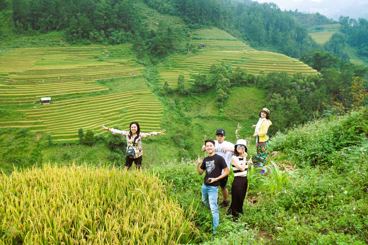Narrow trekking trail through pine forest with mountain views in Mu Cang Chai.
