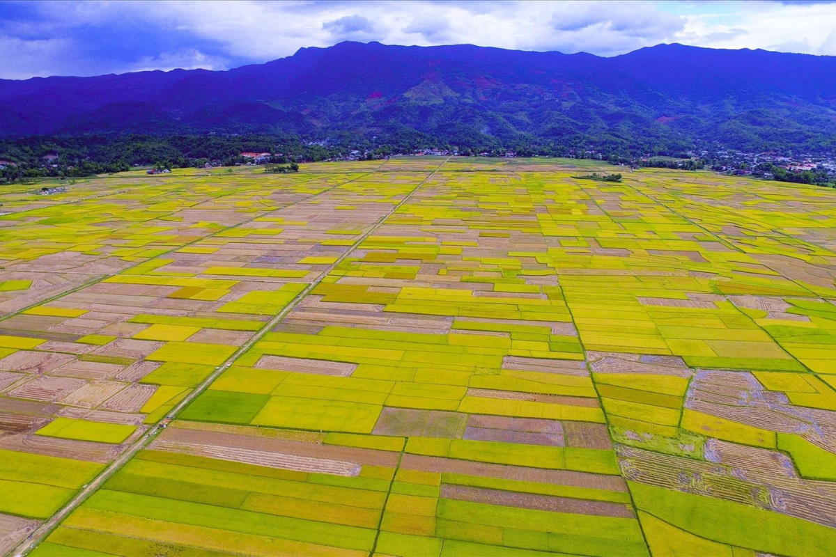 A scenic aerial view of Muong Thanh Valley near Dien Bien Phu City in Vietnam