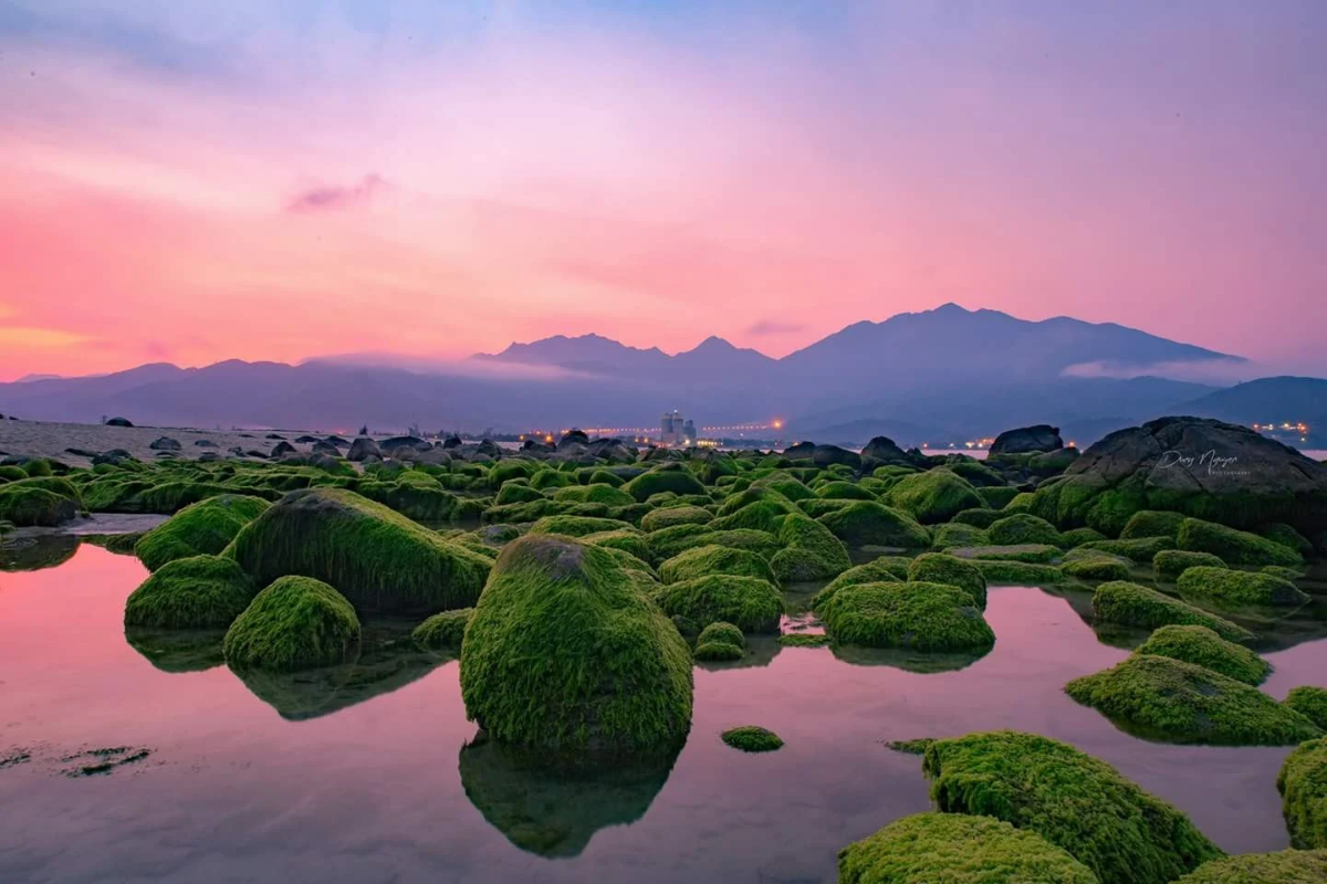 The mossy rocks of Nam O Reef at sunrise