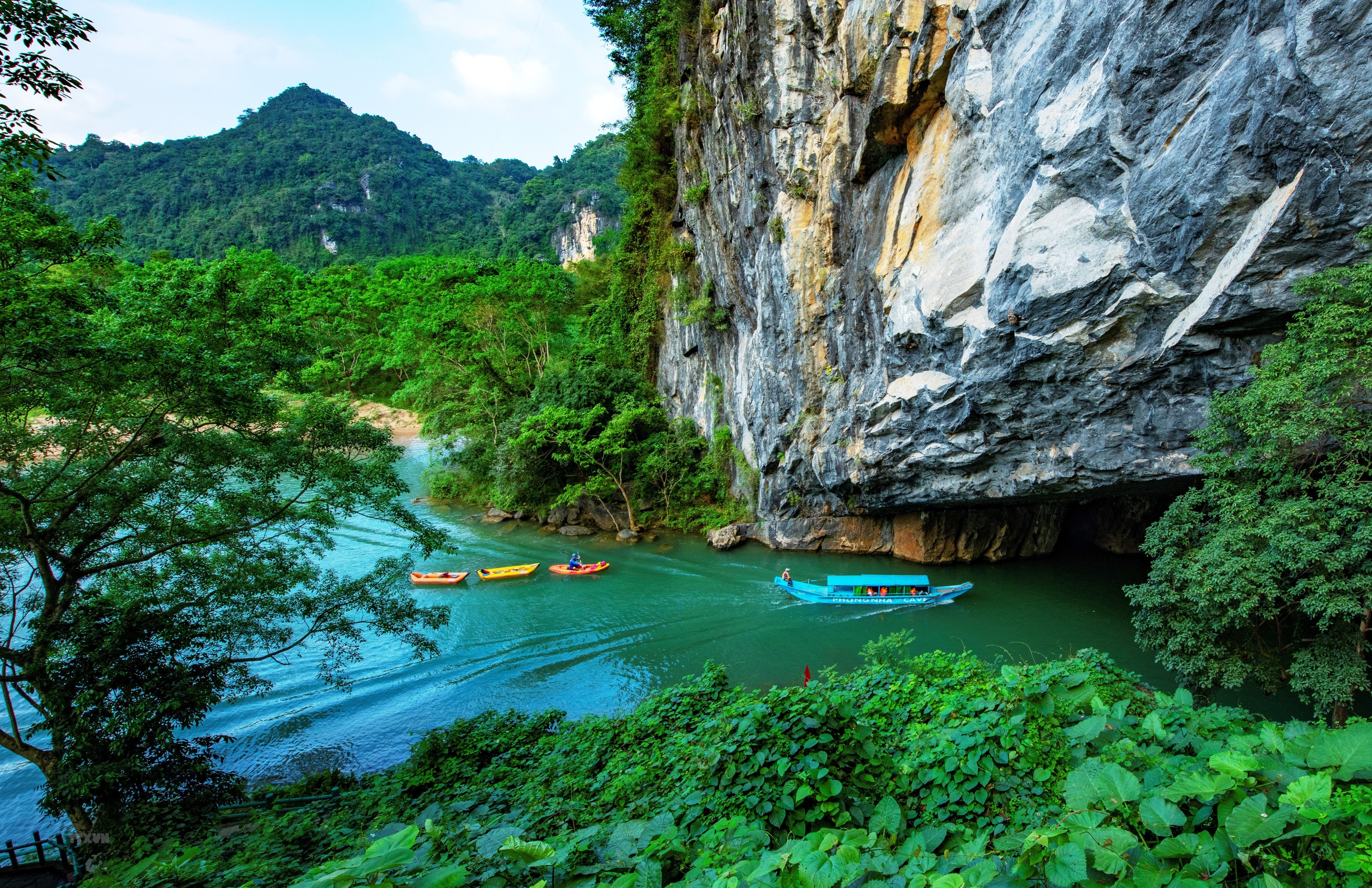 Indochinese tigers at Phong Nha-Ke Bang National Park